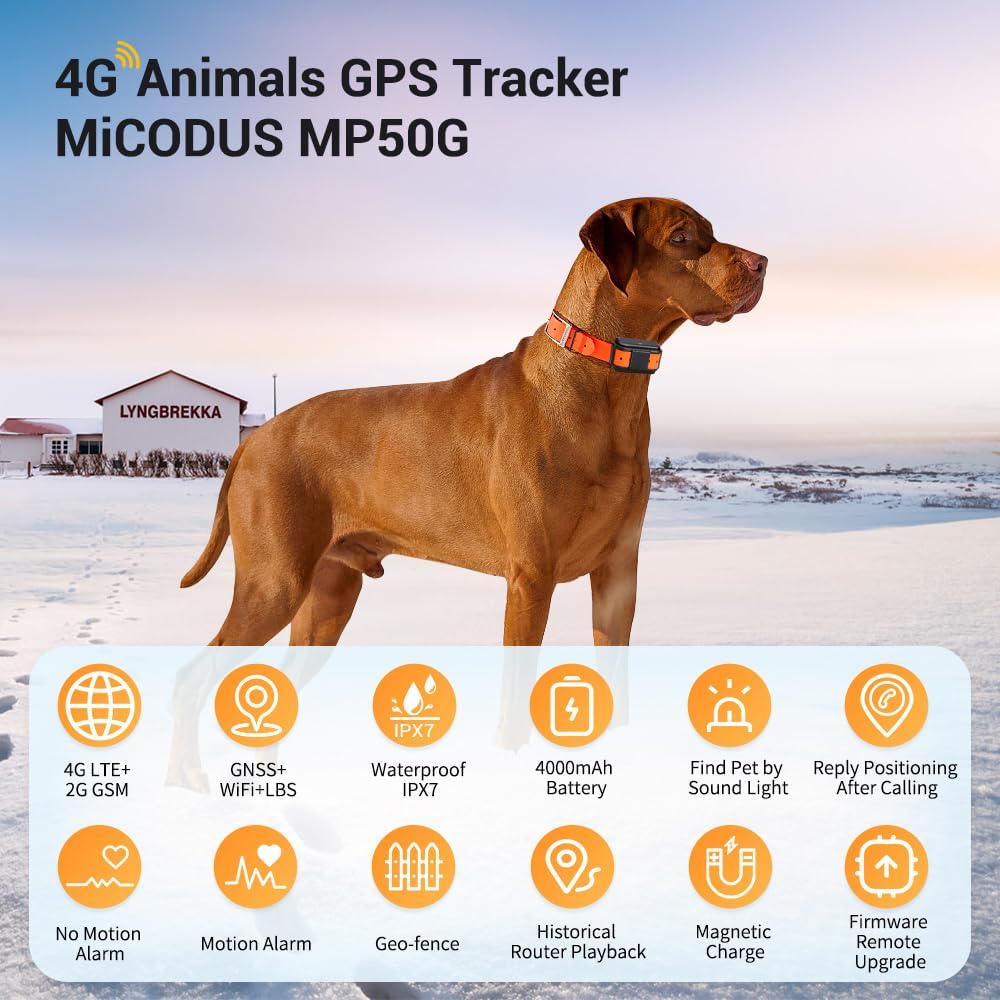 Collare localizzatore GPS per cani utilizzabile con Smartphone