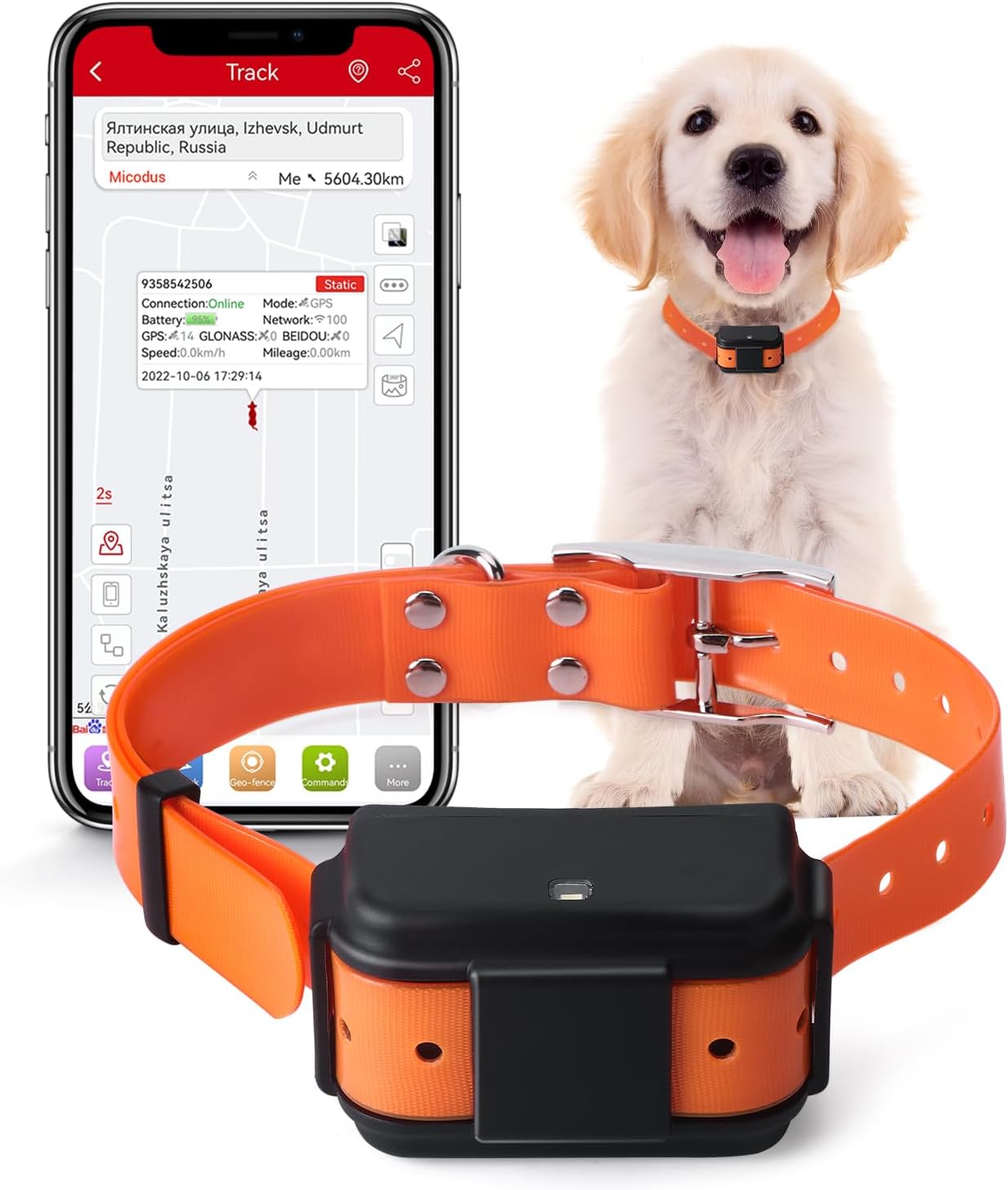 Collare localizzatore GPS per cani utilizzabile con Smartphone