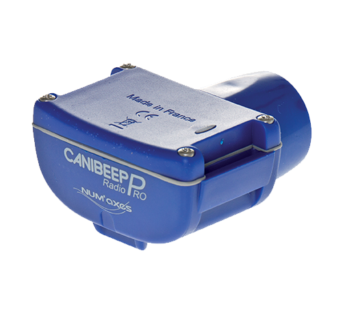 Numaxes Canibeep Radio Pro Beeper di localizzazione collare aggiuntivo blu