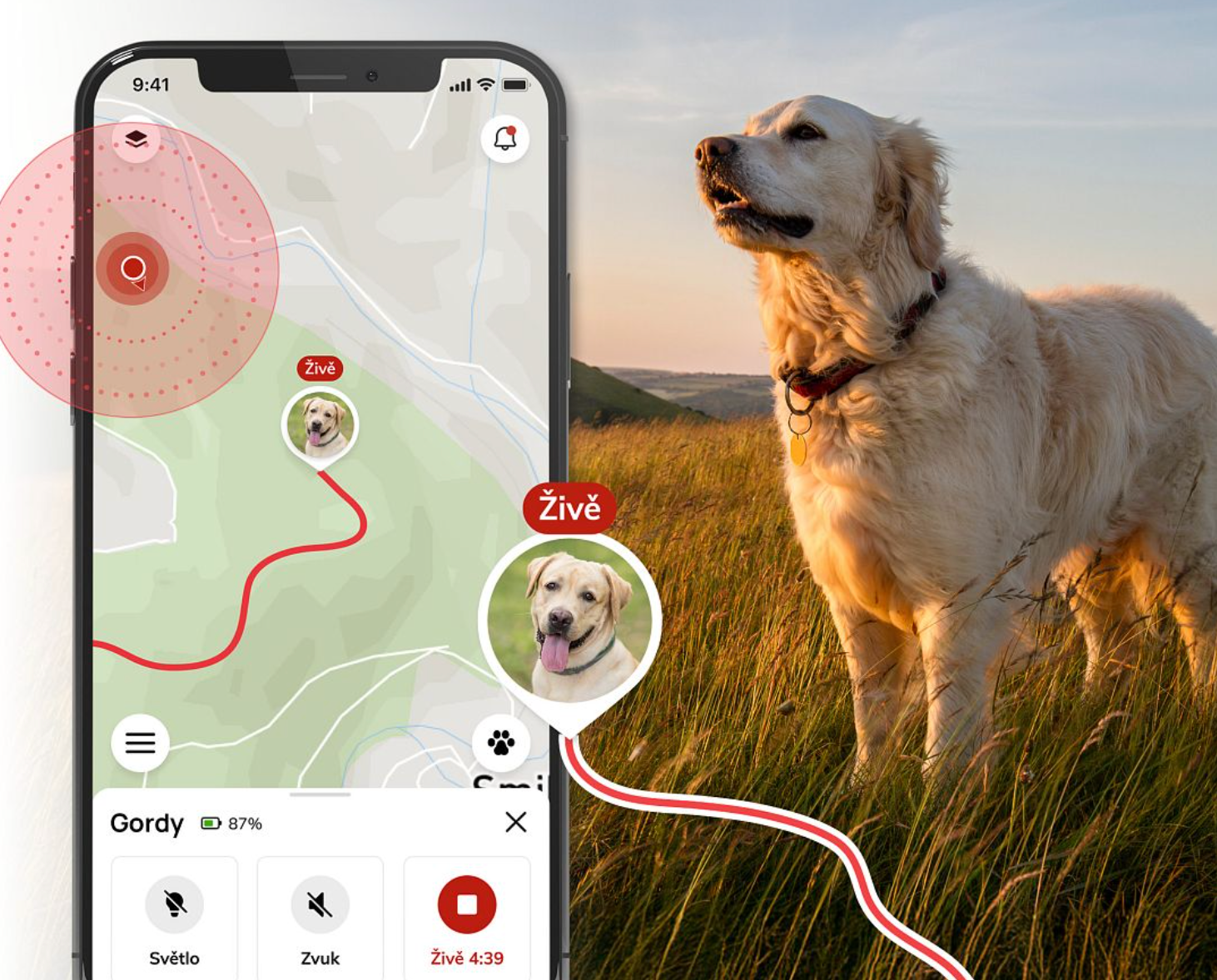 Dog Trace GPS Mini per cani