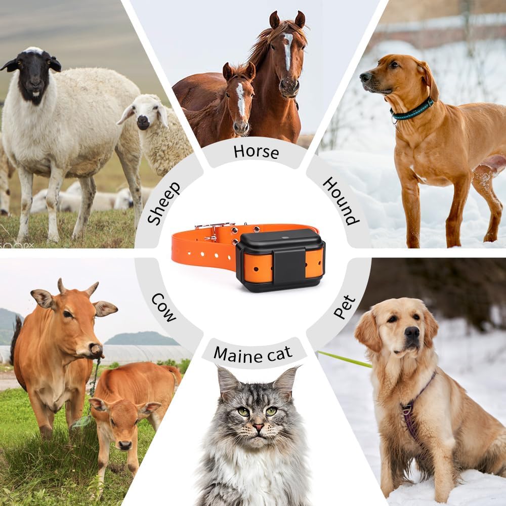 Collare localizzatore GPS per cani utilizzabile con Smartphone